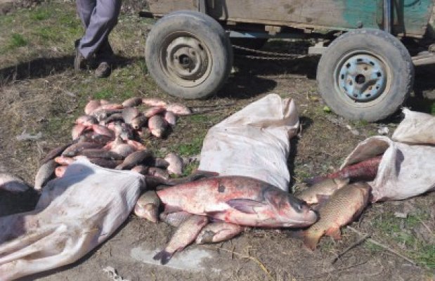 50 kilograme de peşte, confiscate de polițiștii de frontieră